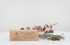 Barre d'huile de massage solide à l'eucalyptus et à la lavande de Zarits