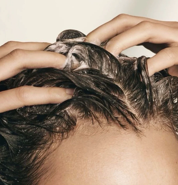 Shampoing Royal pour cheveux gras