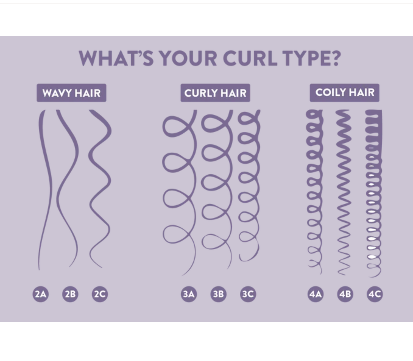 Shampoing hydratant Alcôve