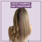 Shampoing Alcôve Violette