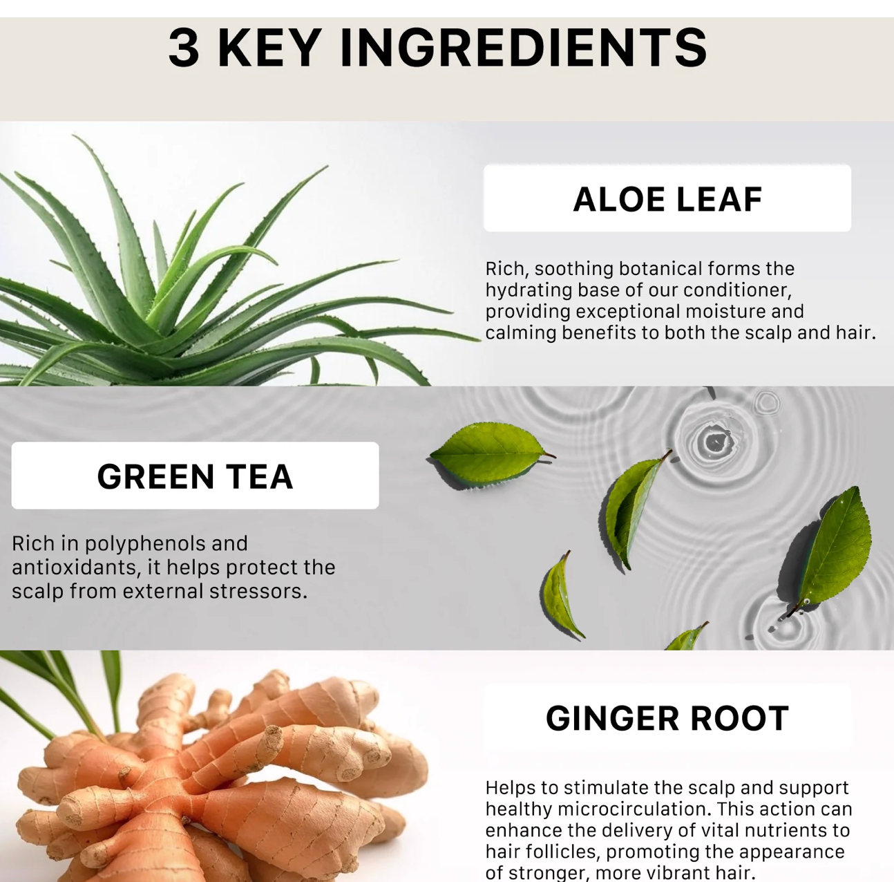 Après-shampoing épaississant Activiv Recover