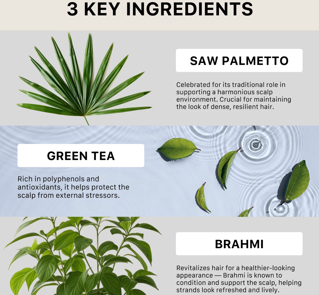 Shampoing épaississant Actiiv Recover pour hommes